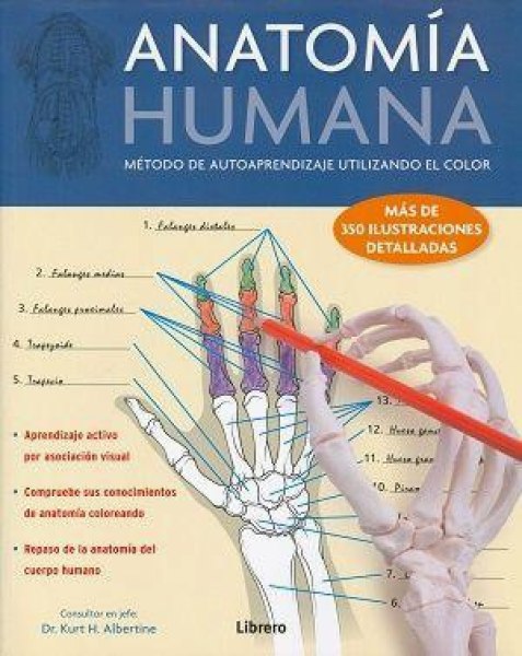 Anatomia Humana Metodos De Autoaprendizaje Utilizando El Color
