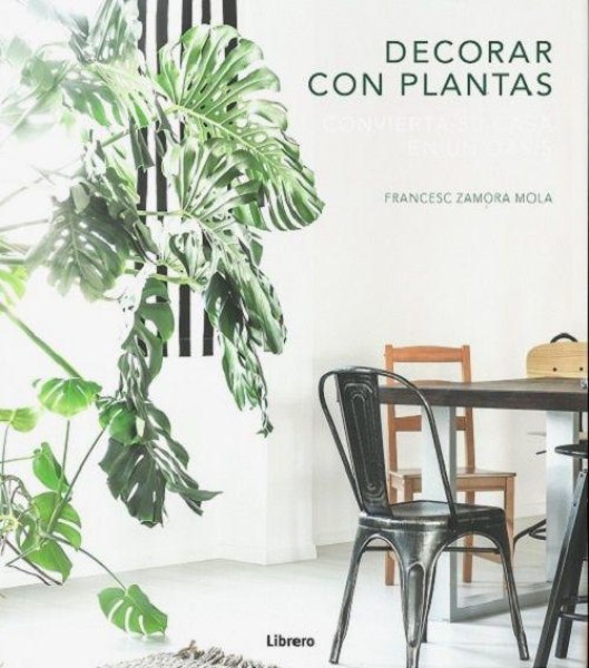 Decorar Con Plantas