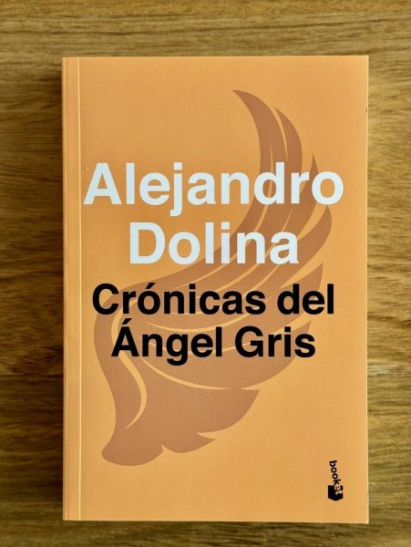 Cronicas Del Angel Gris